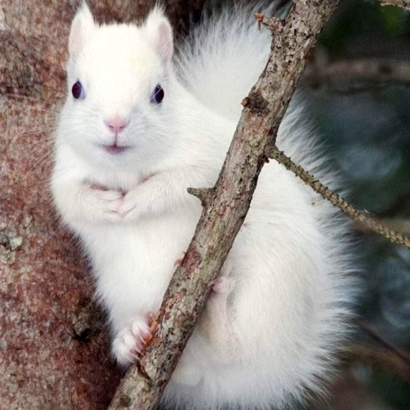 Showing pictures! Entertainment For you! - Picture 10 of 14